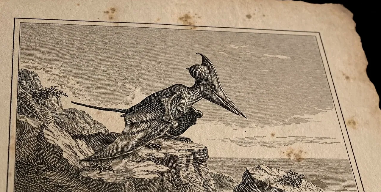 Dimorphodon
